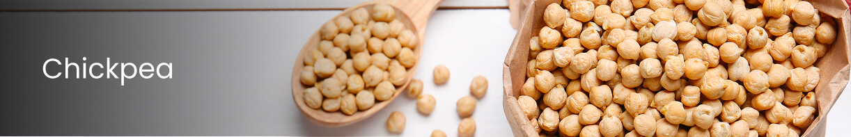 Chickpea