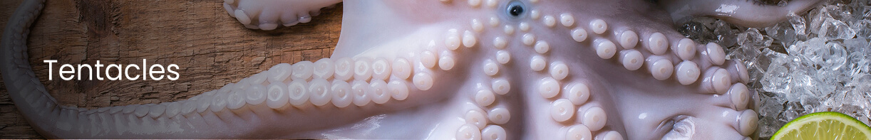 Tentaculos