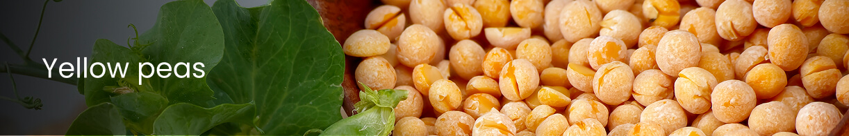 Yellow Peas